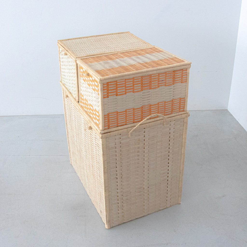 AMPIANA Shipping box USED［期間限定販売］